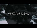 Greensleeves (from Winter Night: Traces in the Snow) - Tina Guo &amp; Leo Z