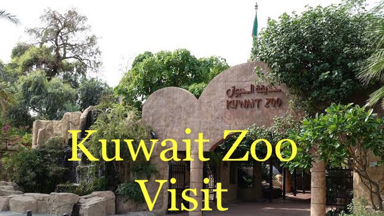 Kuwait Zoo Visit YouTube