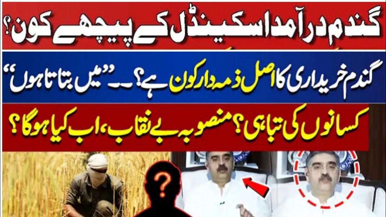 wheat scandal pakistan | wheat scandal #wheat - YouTube