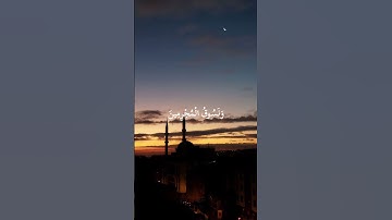 تلاوة رائعة خاشعة من القران الكريم/ القارئ سعود الفايز #قران_كريم #quran #اكسبلور #المصحف #لايك