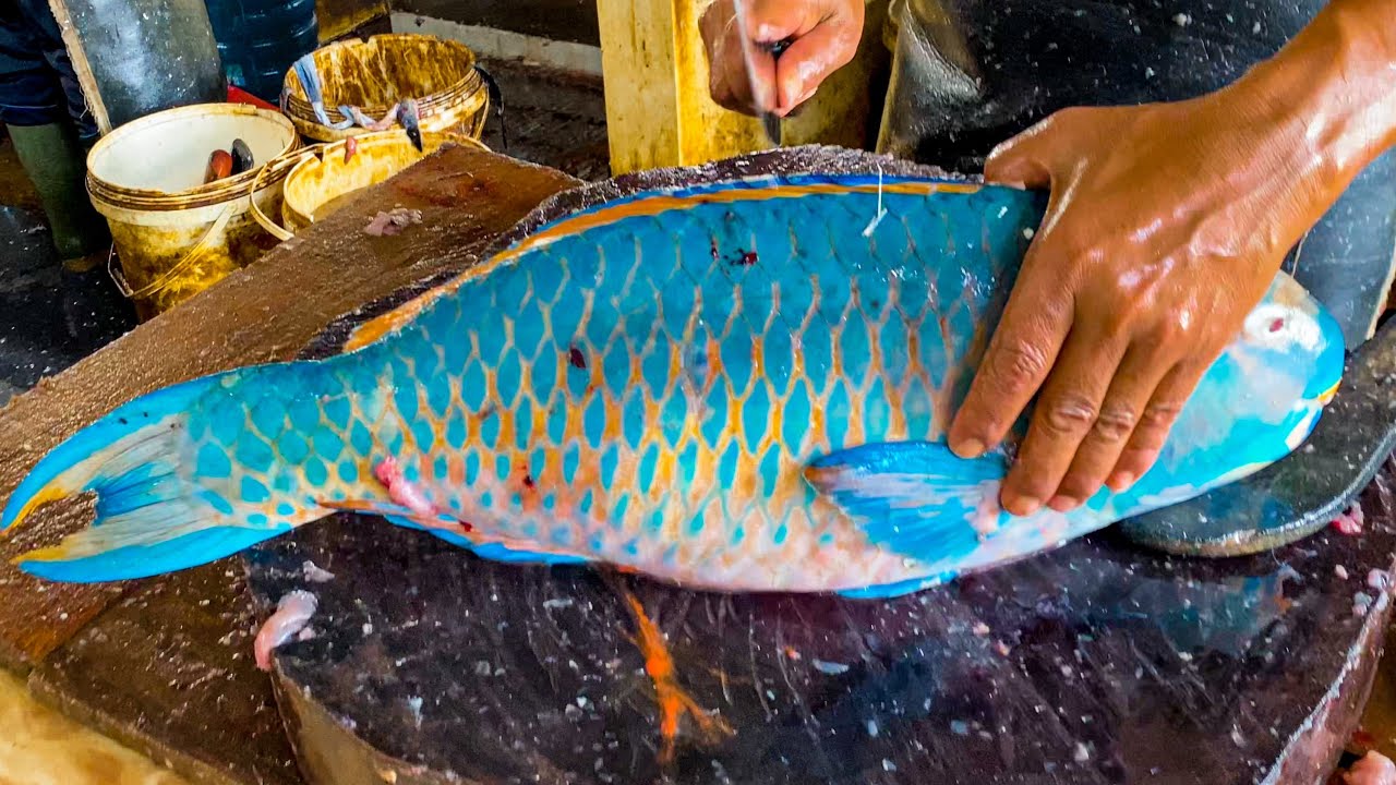 Fish Cutta EXPERT FISH CUTTER || RARE FISH CUTTING & SLICING IN TRADISIONAL FISH ...