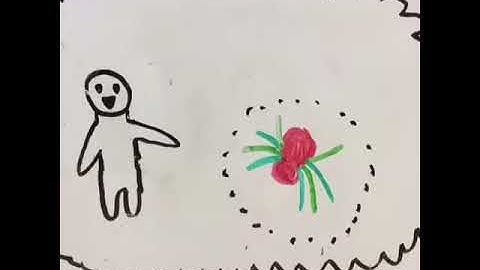 Student Stop Motion Animation Example 2