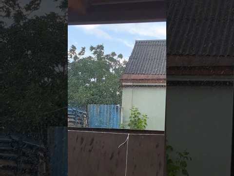 только помыл машину #shorts #short #car #cars #rain