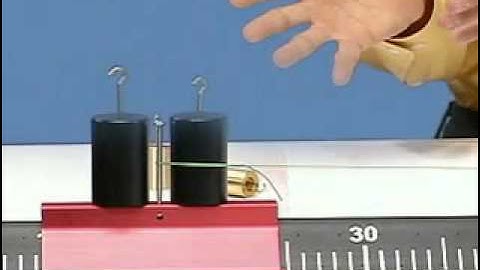 Introduction to Newton