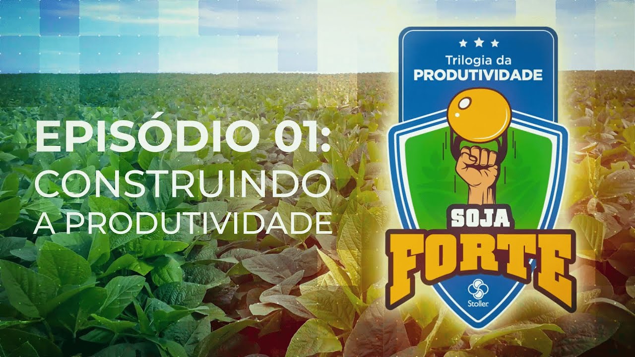 Trilogia da produtividade: como atuar no crescimento vegetativo da soja