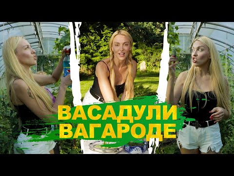 Васадули Вагароде. Выпуск 1: Огурцы.