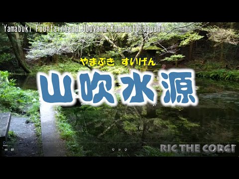 山吹水源（やまぶきすいげん）[熊本名水百選]