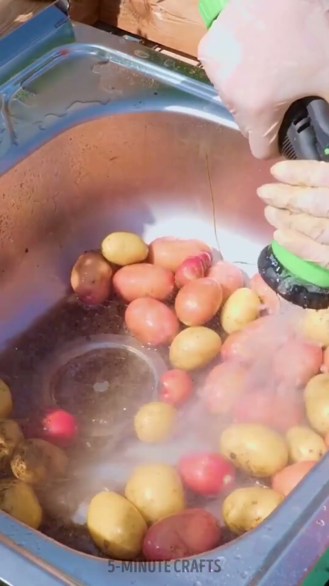 All-in-One Garden Station for Joyful Gardening (part 2) ? #shorts #planting #garden #diy