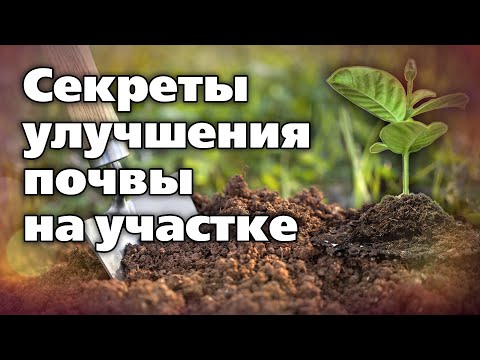Глина и песок в почве - больше не проблема!