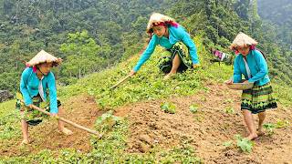 18 Year Old Girl Lone Forest Survival | Digging Ground To Plant Seeds And Grow Her Own Food