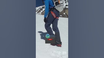 Changing Your Steps to Rest Your Legs when Mountaineering and Hiking Summits #Shorts #SummitClimbs