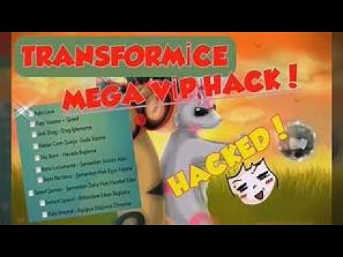 hack para transformice