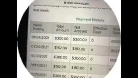 How to File SBA / PPP Bluecorn ,New Updates