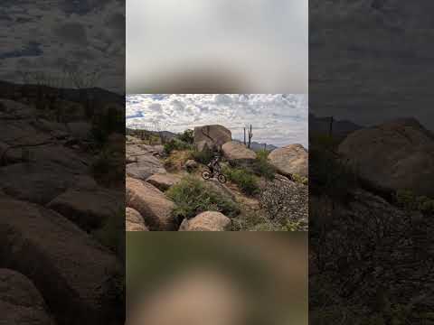 Epic Desert MTB Descent: Follow the Line! #shorts
