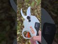 Один из лучших секаторов - Stihl ASA 20
