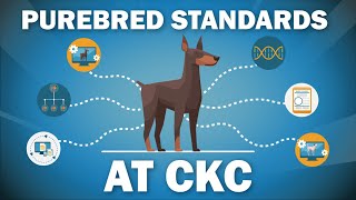 What is CKC's Approach to Breed Standards for Dogs? by Continental Kennel Club, Inc. 3,210 views 2 years ago 3 minutes, 13 seconds