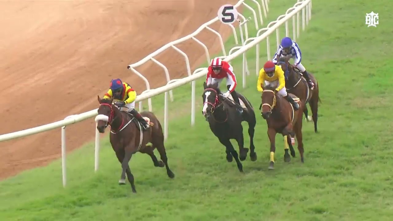 CYRENIUS | The Governor's Trophy