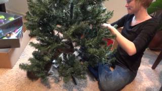 Famous Oskar the Blind Kitten and the Christmas Tree Net Worth