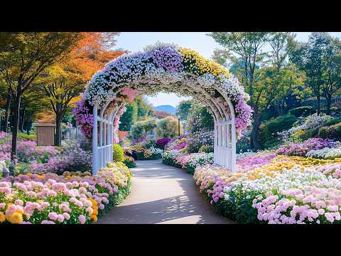 حديقة خضراء مورقة في مساحتك الخارجية الحدائق الأكثر تنوع ا وحيوية التي ستراها على الإطلا