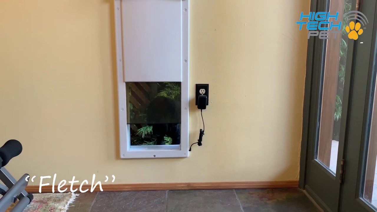 Black Poodle Goes Through Power Pet Door YouTube black-poodle-goes-through-power-pet-door-youtube