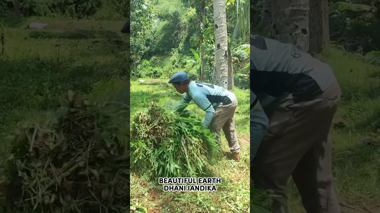 Smart Techniques for Tying Grass With Strong Ropes 