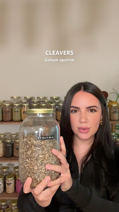 one of best herbs for the lymphatic system #herbalmedicine #herbalism101  #herbalhealth #herbalist