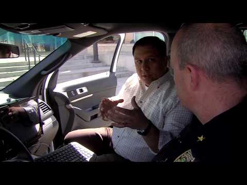 Automotive Authorities Longmont