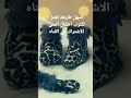 اسهل طريقه لعمل لكلوك وتوكه Shorts من بواقي قماش 