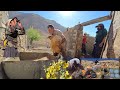 From rescuing weak sheep from lice and fleas to finding ewes; an adventurous day with Ramin