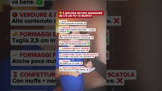 La Muffa È Pericolosa?