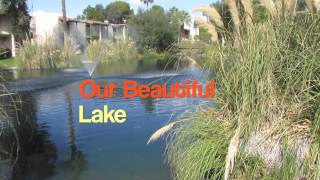 Ramon Lakeview Villas 2013