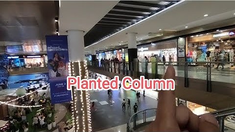Planted Column / Learnings DAILY