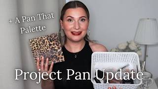 Project Pan & Pan That Palette Update | Making Steady Progress... @KatariinasVanity