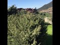 دوار اكوك ايت بركة دوار اكوك ايت بركة