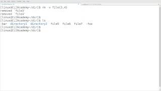 Linux rm command