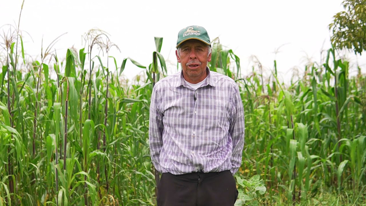 Experiencias del Curso de Capacitación de Huitlacoche en el Estado de Tlaxcala.
