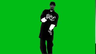 Snoop Dogg на зелёном фоне ХРОМАКЕЙ