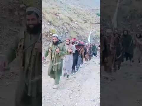 Jaar mo sa afghanistan mujahid new Tarana, afghan taleban new Nazam