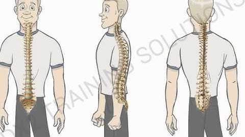 Manual Handling E-Learning Demo