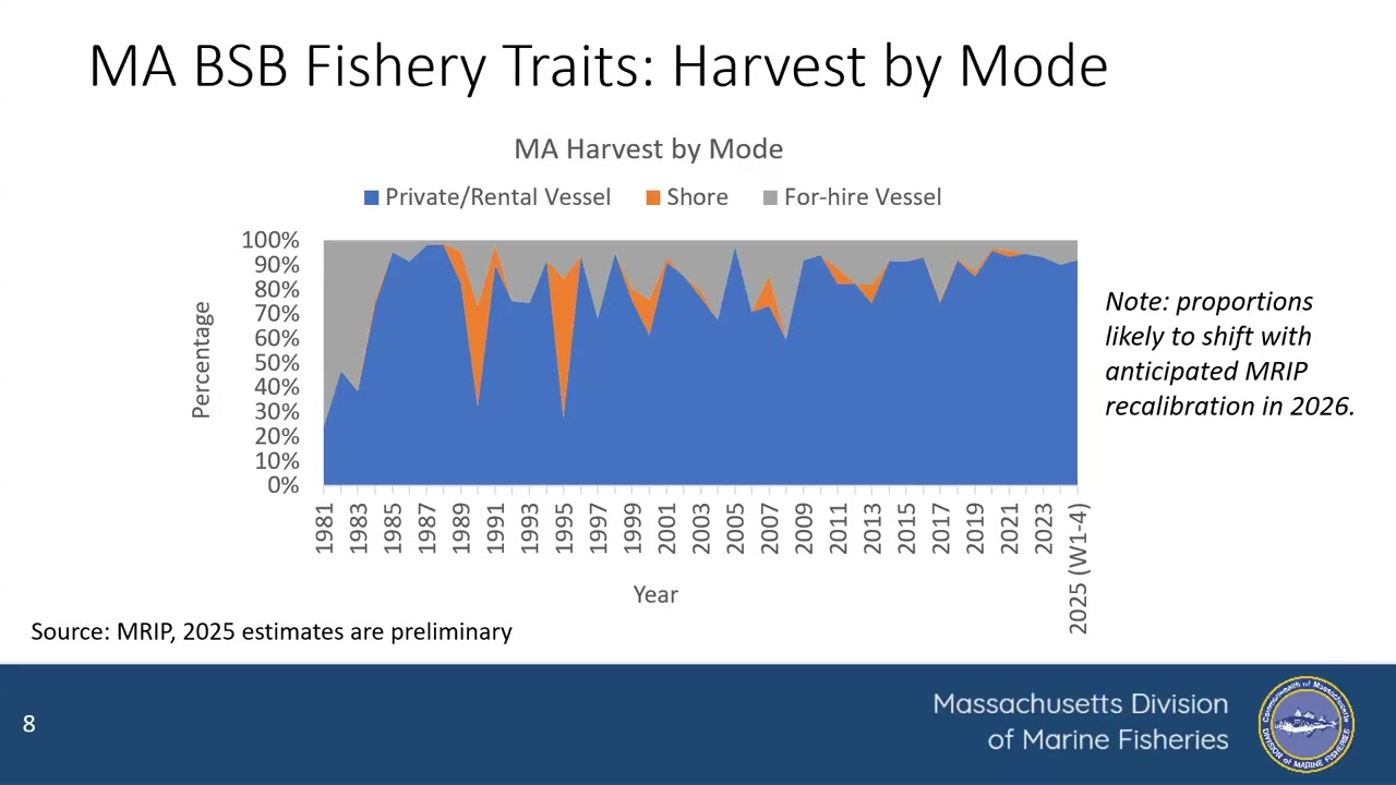 January 2026 Recreational Black Sea Bass Public Scoping Meeting