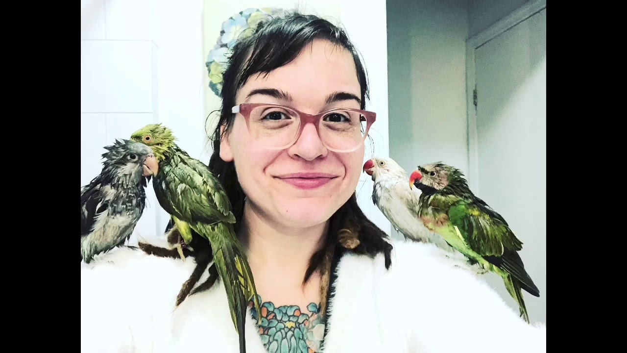 A Day in the Life of our Talking Quaker Parrot 