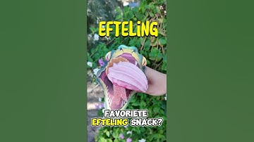 NIEUW: Python Cornetto Sssizzle In de Efteling! 🐍✨ #efteling #python #shorts