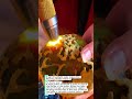 Bright Flashlight Jade Inspection Showing Hidden Pattern #jade #gemstone #test