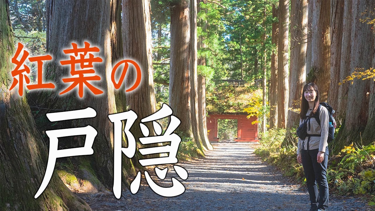 戸隠の紅葉トレッキング!戸隠神社中社〜鏡池〜奥社まで!神秘的なルートと戸隠蕎麦も堪能! - YouTube