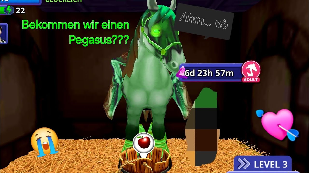 ✨️Züchten✨️ wir das 👉🏼coolste👈🏼 Pferd ever?