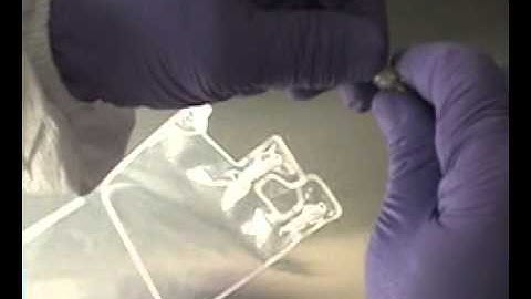 Filling through Luer Fitting