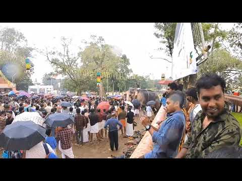 കർക്കിടക പുലരി ഒരു ആനയൂട്ട് യാത്ര #raman #thrissur