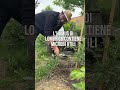 Come avere un ORTO resistente alla siccità!