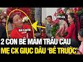Thấy 2 con bê quả TRẦU CAU, mẹ chồng vội dặn con dâu HÁI TRƯỚC để lấy vía | Tin Ngắn 3 Phút