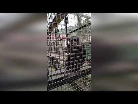 Поездка в ялтинский зоопарк